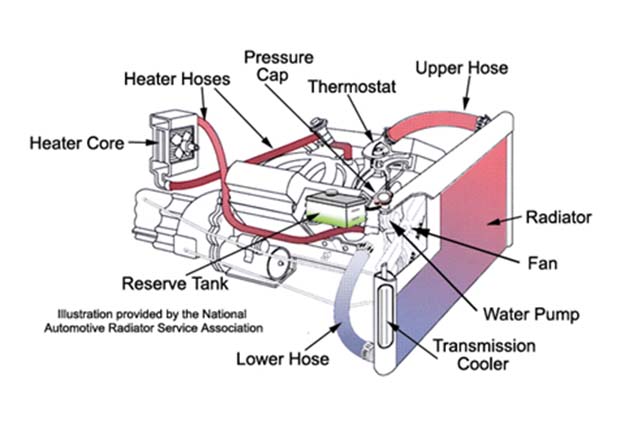 Komponen Radiator Vario 125. Komponen Radiator Motor: Panduan Lengkap Merawatny