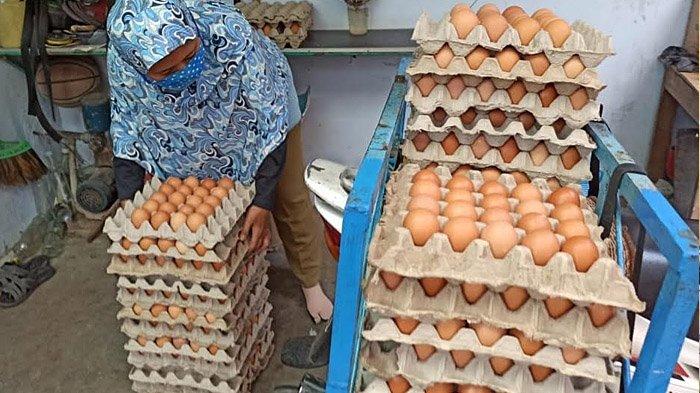 Harga Vario Bekas Di Ponorogo. Peternak Ponorogo Keluhkan Anjloknya Harga Telur, Hingga Gadaikan BPKB Agar Bertahan
