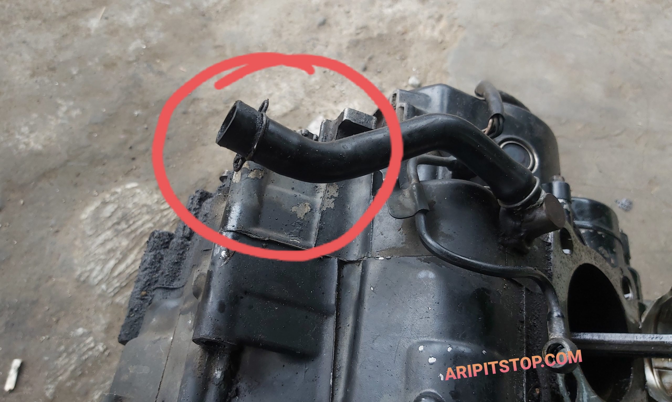Box Filter Vario 125 Old. Penyebab Box Filter Udara Keluar Asap, Waduh Parah Banget Kondisinya