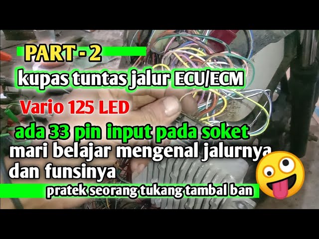 Jalur Kabel Lampu Vario 150. Jalur Kabel Kunci Kontak Vario 150