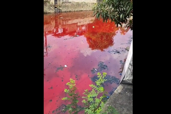Vario Merah Darah. Ini Penyebab Air Sungai di Semarang Berwarna Merah Darah