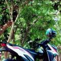 Honda Vario Bekas Di Jambi. Honda Vario Kota Jambi