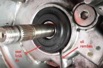 Gli Variled Bosch. Oli Vario Rembes : Vario Holic