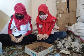 Harga Honda Vario Terbaru Demak. Ingin Honda Scoopy Buat Istri, Pria Demak Beli Cash Pakai Uang Logam, Karyawan Dealer Dibikin Menghitung Sampai Lima Jam