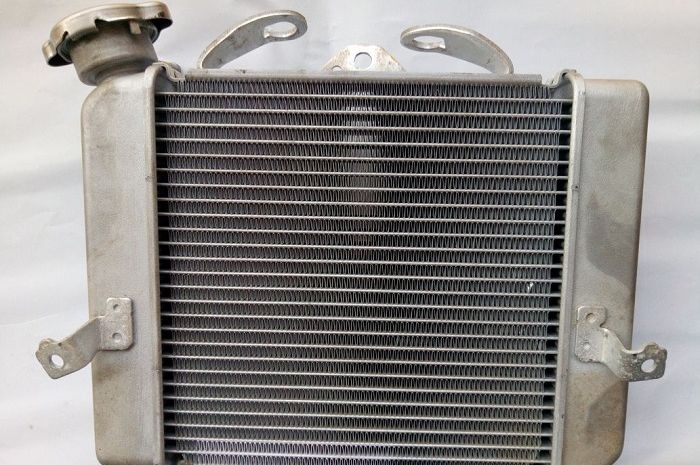 Cara Merawat Radiator Motor Vario. Hindari Keluar Biaya Besar, Begini Cara Merawat Kisi-kisi Radiator Motor