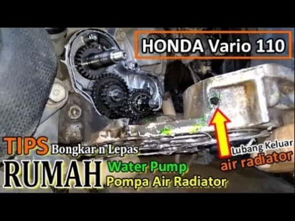 Water Pump Vario 110 Bocor. √ Water Pump Vario 110 Bocor? Begini Penyebab dan Cara Atasi -