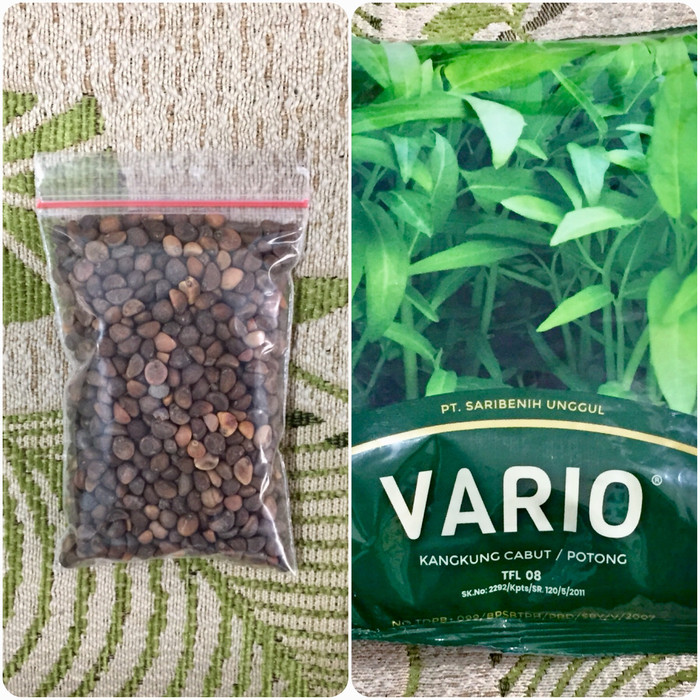 Vario Warna Hijau Daun. Repack Benih Kangkung VARIO